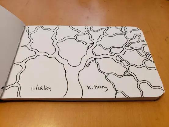 Hand drawn generative/procedural art in ink on an open page of my sketchbook. The abstract pattern looks a bit like a branching tree structure.