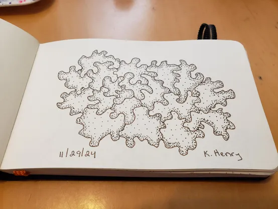 Hand drawn generative/procedural art in ink on an open page of my sketchbook. The abstract pattern is inspired by lichen I saw while walking through the woods in New Hampshire.