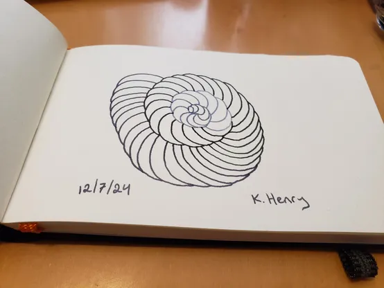 Hand drawn generative art in ink on an open page of my sketchbook. The abstract pattern is inspired by the shapes of ammonites.