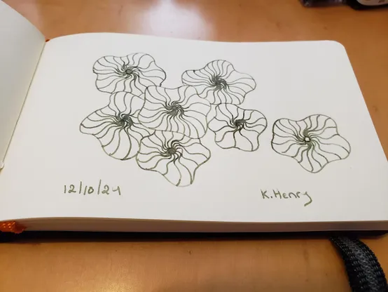 Hand drawn generative/procedural art in ink on an open page of my sketchbook. The abstract pattern looks a bit like sea creatures or flowers.