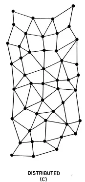 (C) Distributed: A large number of nodes which are more or less equal, each linking to their immediate neighbors.