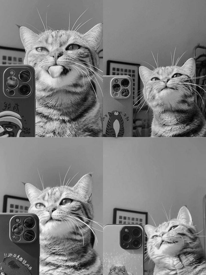 ALT

Gato haciendo selfie. 