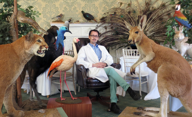 Adam sitting on a chair in a lab coat surrounded by taxidermy animals.