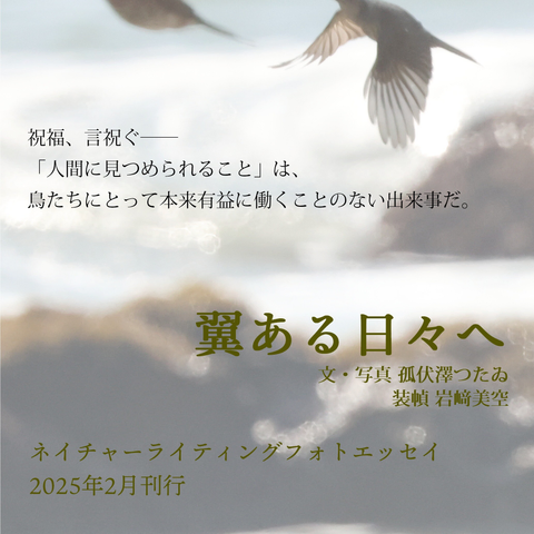 
激しい潮が打ち付ける岩場を飛ぶ鳥の影。
『祝福、言祝ぐ
人間に見つめられることは鳥たちにとって本来有益に働くことのない出来事だ。
 
翼ある日々へ　文・写真　孤伏澤つたゐ　装幀　岩崎美空
ネイチャーライティングフォトエッセイ　2025年2月刊行』と書かれている。