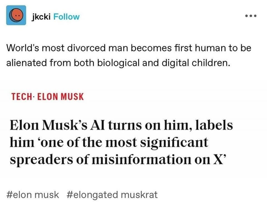 (Tumblr post) World's most divorced man becomes first human to be alienated from both biological and digital children.

(Newspaper screenshot)

TECH- ELON MUSK

Elon Musk’s Al turns on him, labels him ‘one of the most significant spreaders of misinformation on X’

(Tumblr tags) #elon musk #elongated muskrat 