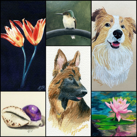 A collage showing different artworks: A watercolour painting of two orange tulips, an oil pastel drawing of a kingfisher, a coloured pencil drawing of a border collie, a coloured pencil drawing of two cowrie shells, a watercolour painting of a German Shepherd and an acrylic painting of a pink water lily.