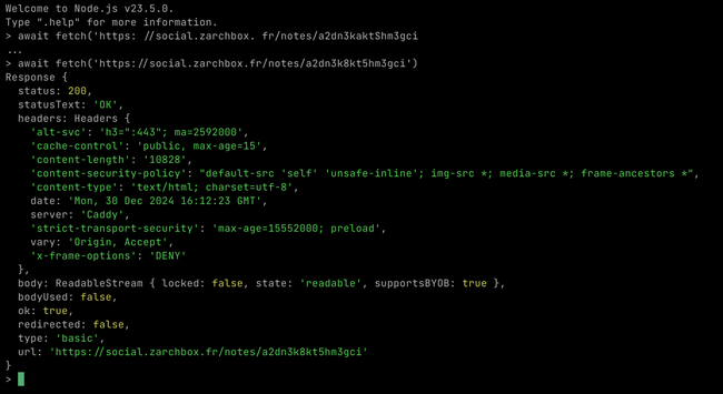 A terminal displaying a successful HTTP fetch request to a URL, returning a status code 200 with detailed HTTP headers and body information.