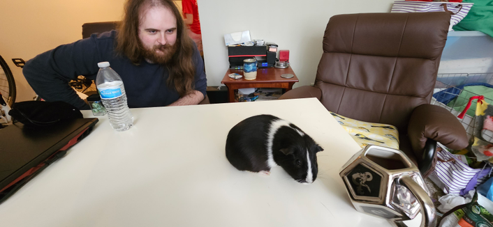 Oreo (bottom right) participating in a dnd session