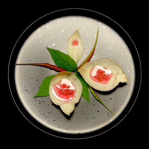 A black background and a black speckled plate. On the plate are three white magnolia petals of different sizes. They have a pink puddle of pickled redbud flowers sitting in the natural curve of the petals. Between the petals are long thin rat tail radish pods that are dark pink and green and a cut stem of 3 leaves of a spikenard plant.

Pickle was fine. It didn't taste as sweet probably bc of the ramp. Very piquant but nice. Has more possibilities.
Magnolia flower raw tastes like pine-sol then like rose then like ginger. It's very pungent but doesn't leave a lingering aftertaste. Definitely not for eating raw. Will try a blanching, steaming and pickling recipe if I can find more flowers that are low enough to reach.

Spikenard leaf was like a faint mint with some anise and lettuce. It was ok.
Better as a mixed green then a bunch by itself. The stalks were too fibrous to steam boil even though they were very
thin.

Rats tail radish tastes like a tame radish, kinda nice. Like if a sugar snap was daikon flavored.