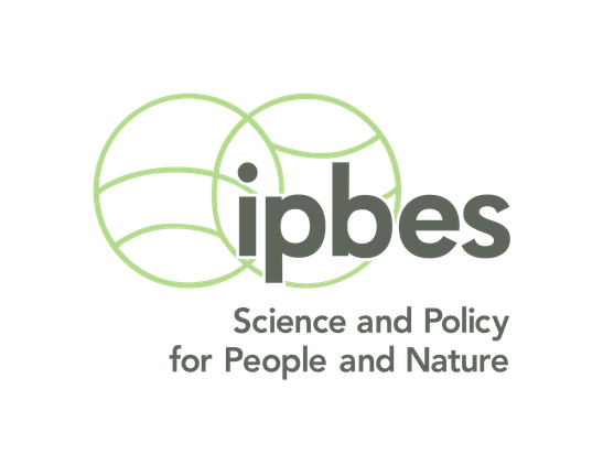 Image of the official logo of IPBES - two interlinked green spheres behind the IPBES acronym, with the slogan Science and Policy for People and Nature below