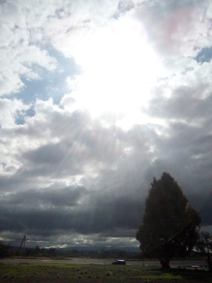 Photograph of a cloud covered valley. The Sun is shining majestic rays through the clouds. There is a tree in the foreground.