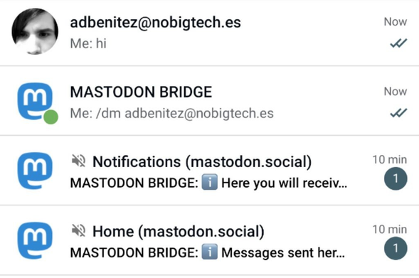 an example of how the chat list looks like on Delta Chat after configuring the bridge