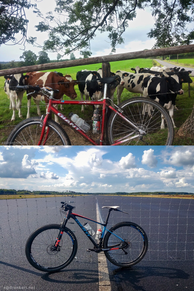 A composite of two photos, each with a Giant (not large but the brand) MTB leaned against something. On top an older red bike against a wood and barbed wire fence with a small herd of curious cows right behind it. At the bottom a newer red, blue and black bike against a wire mesh fence on the former airfield Soesterberg. It looks like a very wide, straight road.