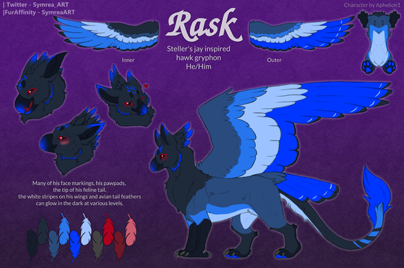 Feral refsheet of Rask the gryphon (Hawk (with a Steller's jay color scheme) and mountain lion hybrid). Art by SymreaArt on Twitter and FurAffinity