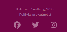 Screen ze stopki strony Zandberg2025.pl

logo socialek fb, tt, ig