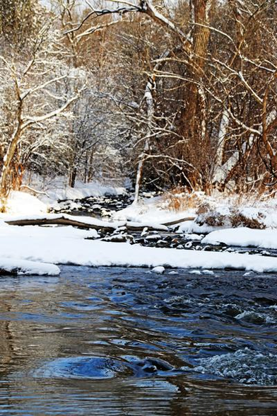 Trees with bare branches, cedar trees,rock, creek, snow covered ground with rocky river in winter