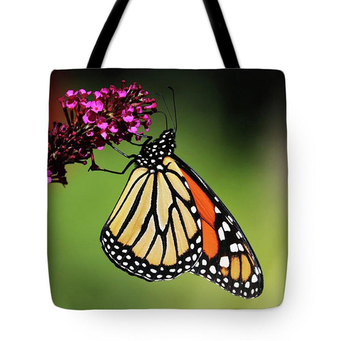 Monarch Butterfly in orange and black with pink flower and red/green background tote bag