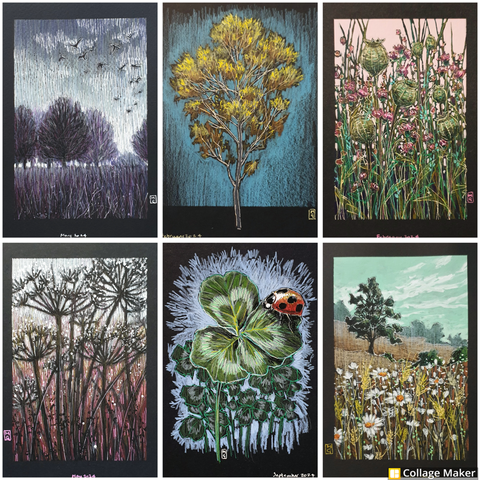 A photo collage of some of my small drawings on black paper:
A purple dawn landscape with trees, a golden autumnal tree study, a bed of poppy seed heads, silhouettes of cow parsley, a ladybird on 4 leaf clover and a landscape with oxeye daisies and wheat. 