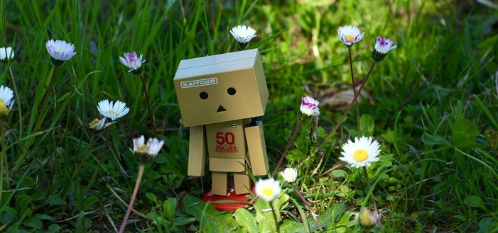 A confused little cardboard robot is lost amongst the daisies