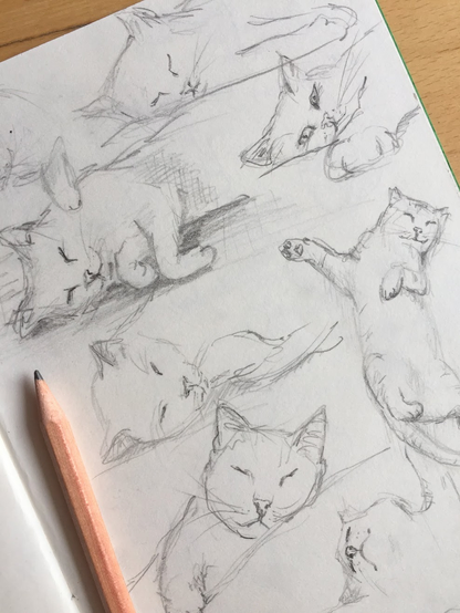 Sketchbook page with pencil sketches of sleeping cats by Karen Kaspar
