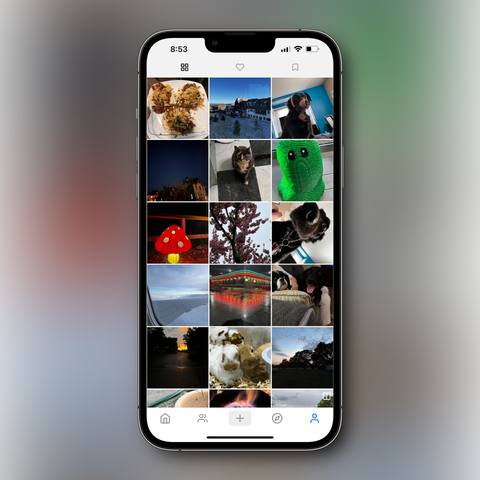 Pixelfed with square thumbnails on the grid unlike another app