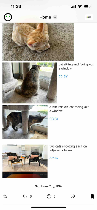 iphone screenshot of the bottom portion of a post showing four photos of cats in a cat cafe and beneath is the location which is salt lake city

Detected text:

11:29Home+gramcat sitting and facing outa windowCC BYa less relaxed cat facing outa windowCC BYtwo cats snoozing each onadjacent chairesCC BYSalt Lake City, USA6