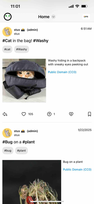 iphone screenshot of a home feed showing two posts by the same account with admin in parentheses listed after the username

Detected text:

11:01Home+ gramstuxstux• (admin)#Cat in the bag! #Washy#Cat#Washy6:51 AMWashy hiding in a backpackwith sneaky eyes peeking outPublic Domain (CCO)1051stuxstux(admin)#Bug on a #plant#bug#plant1/22/2025Bug on a plantPublic Domain (CCO)