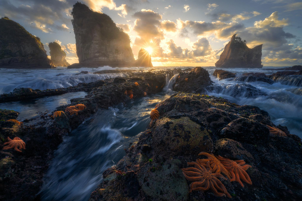 An image of a sunset at a beach on a rocky outcrop full of orange starfish & large rocks leaning into the distance