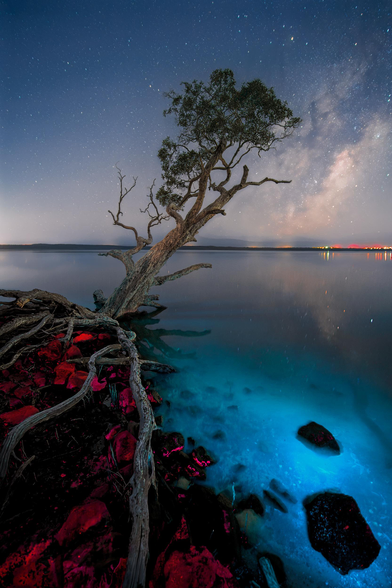 Under certain spectrums of light, living and organic matter can produce intensely vibrant colours, glowing as if by magic. This process is called biofluoresence. Here, the Milky Way’s galactic core rises behind a small oceanic lake on Queensland’s coast.