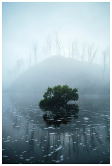 Maytime Adrift. A calm, slow flowing river backed by a burnt silhouetted forest shrouded by the morning mist.