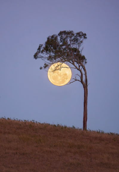 Moonrise over the scenic rim 