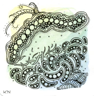 Zentangle panel with pen and ink on a watercolour background fading from yellow on the top left through green in the centre to blue in the bottom right. There are a variety of shapes reminiscent of water-borne microorganisms.