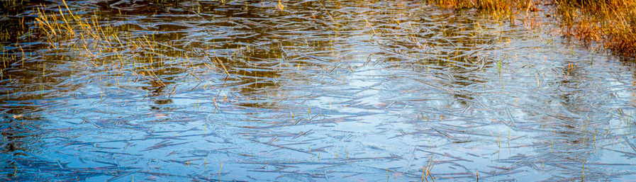 frozen water on a small pond