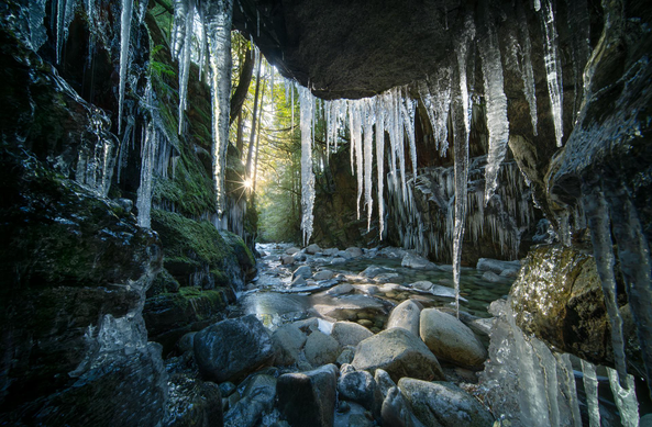 Photo of an icy rainforest canyon. There are large icicles in the foreground. Boulders and water lead the viewer into the background, where the warm sun is peaking through.