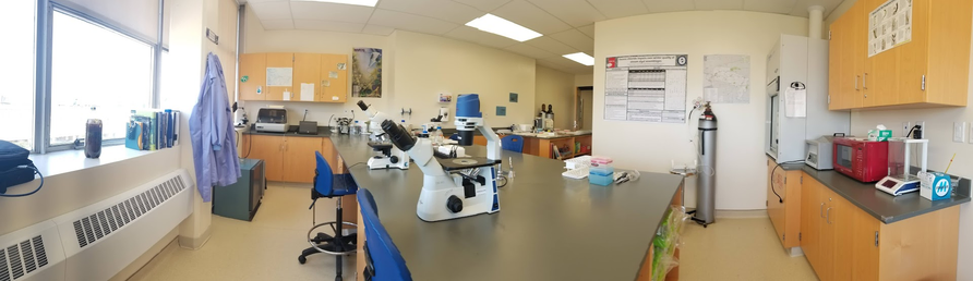 An empty lab showing microscopes