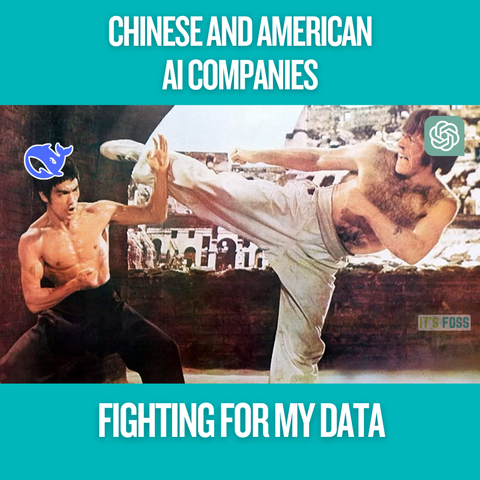 Chinese and American AI companies fighting for my data. There is a picture of DeepSeek and OpenAI fighting.