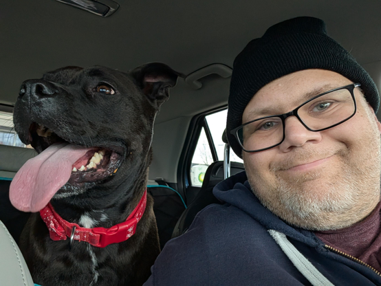 Pepper (Black Lab / Staffy Mix) and me sitting in a car. 