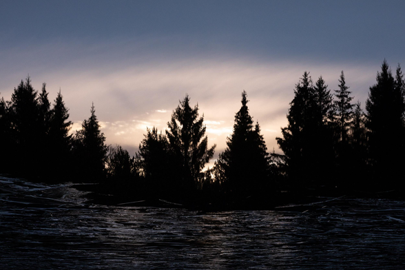 A dark late autumn scene, a reflection of a sunrise against tree tops, framed by ice