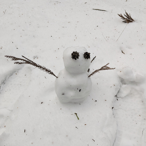 小さい雪だるまの写真