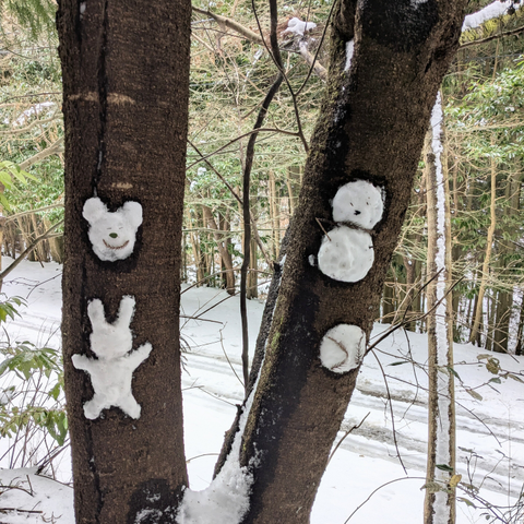 木に雪が張り付けてあって熊などの模様になっている写真