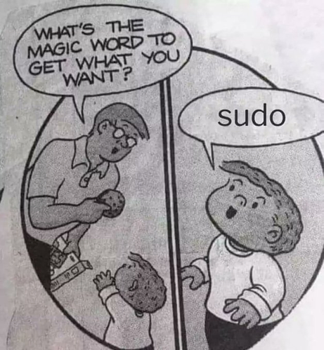 A comic, showcasing a standing man in glasses is about to give a child a cookie, but he asks "What's the magic word to get what you want?". The kid replies with "sudo".

Source: https://x.com/AdrianDittmann/status/1885779096464216194