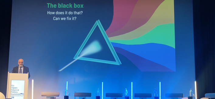 Stefano shows a slide with a prism as an example of a black box.