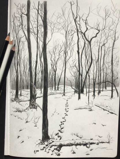 Black and white drawing of a woody winter landscape. Reference photo by @Michigander@toad.social. Pencil, black coloured pencil, white coloured pencil.

