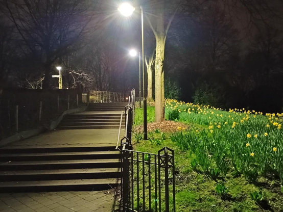 Photo showing lights next to a staircase outdoors, where the staircase is barely illuminated and the flowers and grass in the opposite direction are brightly lit.