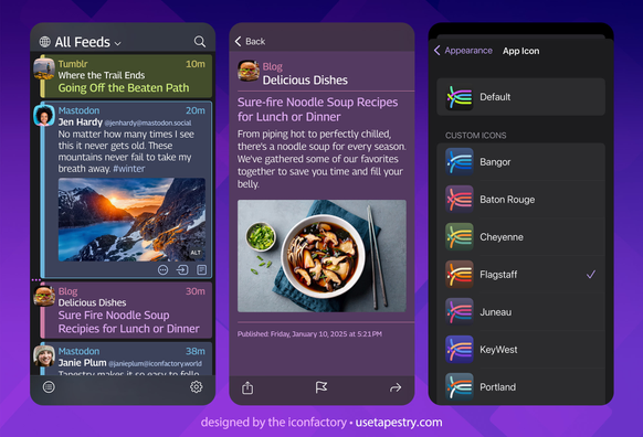 Three Tapestry screenshots on iOS showing the timeline, detail view, and app icon options.