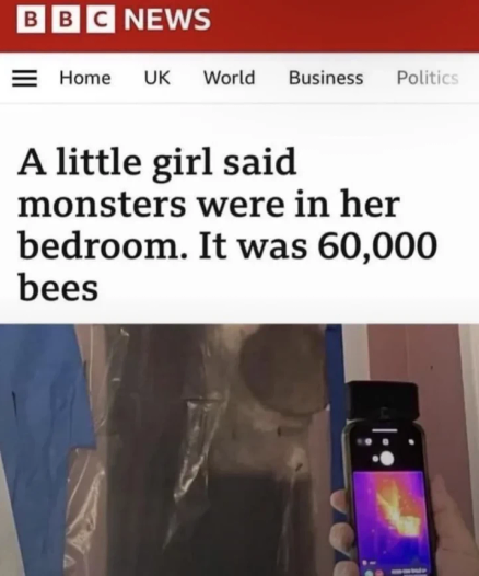 A little girl said monsters were in here bedroom, it was 60000 bees