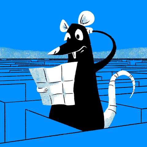 An illustration of a rat standing up in the middle of a giant maze, looking mildly puzzled and consulting a small map. The rat is black with white eyes, teeth, nose, ears, paws, and tail. The map is white and looks like it has been folded previously, but is otherwise devoid of detail. The background is blue with the maze drawn over it in black lines. A white halftone pattern lights up the horizon line.