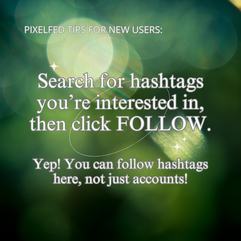 PIXELFED TIPS FOR NEW USERS: Search for hashtags you’re interested in, then click FOLLOW.

Yep! You can follow hashtags here, not just accounts!