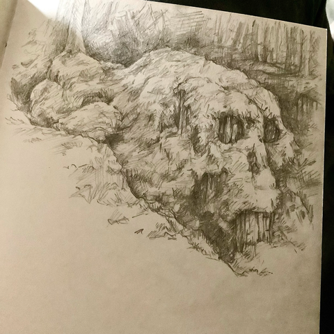 A photo of a pencil sketch transforming the aforementioned photo by bringing the skull shape out more.