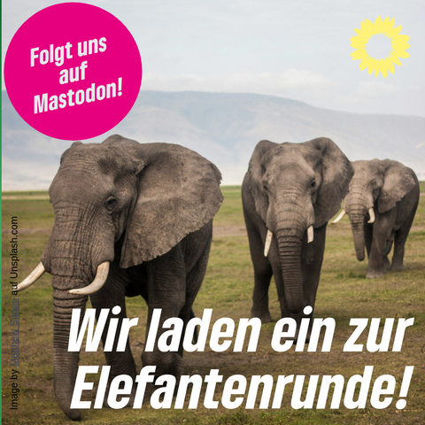 Ein Sharepic der Grünen. Man sieht drei Elefanten in der Steppe. Oben rechts ist die gelbe Sonnenblume der Grünen, oben links eine pinker Störer mit dem weißen Text "Folgt uns auf Mastodon" und unten steht in großen weißen Buchstaben 
"Wir laden zur Elefantenrunde!"